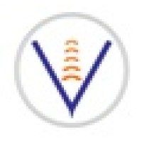 Vital Solutions International Logo