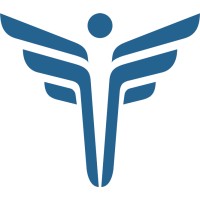 FEI Systems Logo