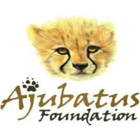 Ajubatus Foundation Logo
