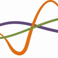 Caulmert Ltd - Engineering, Environmental and Planning Logo