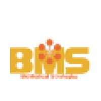 BioMedical Strategies Logo