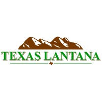 TEXAS LANTANA, LLC Logo