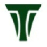 Triune Energy Services Pvt. Ltd. Logo