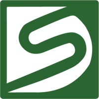 Digital Solutions Logo