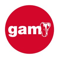 GAM - Solutions Logo
