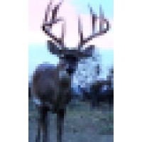 Shadetree Outdoors inc. Logo