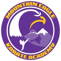 Mountain Eagle Karate Academy Logo