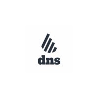 dns accountants Logo