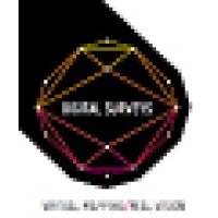 Digital Surveys Ltd Logo