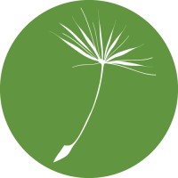 dandelion marketing LLC Logo