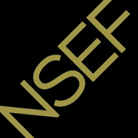 Noblesville Schools Education Foundation Logo