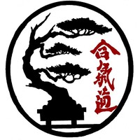 Sangamon Aikikai Logo
