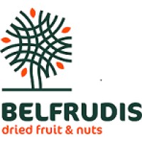 Belfrudis BV Logo
