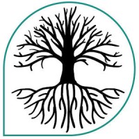 NionNet Limited Logo