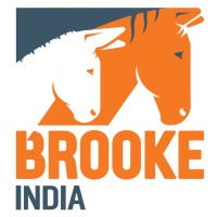 Brooke Hospital for Animals (India) Logo