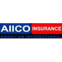 American International Insurance Co Logo