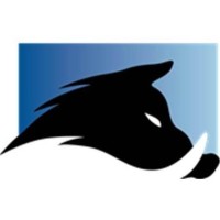 BLITZ Projetos Especiais Logo