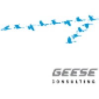 Geese Consulting Logo