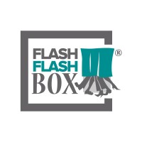 Flash Flash Box Logo