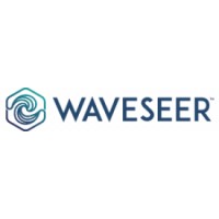 Waveseer LLC Logo