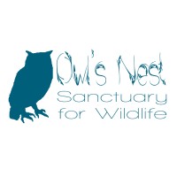 OWLS NEST SANCTUARY FOR WILDLIFE Logo