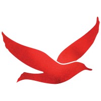Opus Total Health Logo