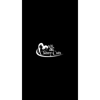 Classy Cuts Salon Logo