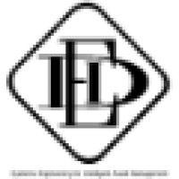 The DEI Group Logo