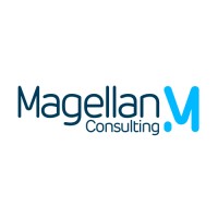 Magellan Consulting - Groupe Magellan Partners Logo