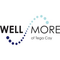 Wellmore of Tega Cay Logo