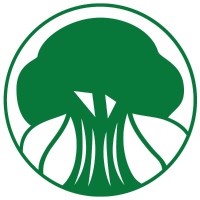 Banyan Tree Strategies Inc. Logo