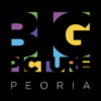Big Picture Initiative Logo