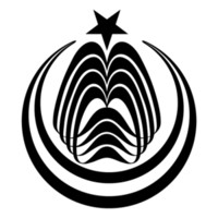 National College of Arts Lahore Logo