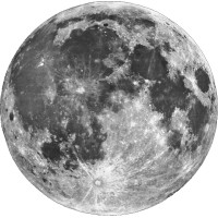 Florida Maxima Corp Logo