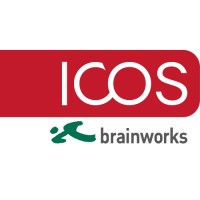 brainworks computer technologie GmbH Logo