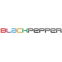 BlackPepper InfoServices Pvt Ltd Logo