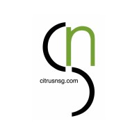Citrus Networking Solutions Group, Inc. Logo