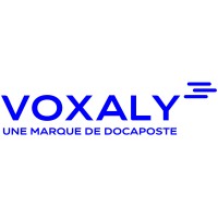Voxaly Logo