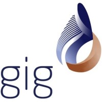 Arab Misr Insurance Group “gig” Logo