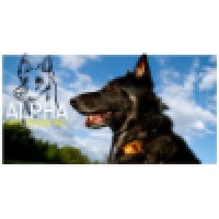 Alpha Web Design, Inc. Logo