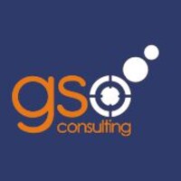 GSO Consulting Logo
