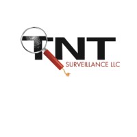 TNT SURVEILLANCE LLC Logo