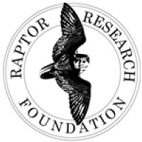 Raptor Research Foundation Logo