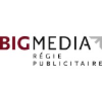Bigmedia Logo