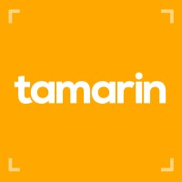 TAMARIN DESIGN LIMITED Logo