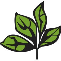 El Limonar International School Logo