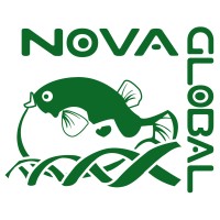 NovaGlobal Pte Ltd Logo
