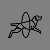 LAZERIAN Logo