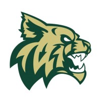 Chisago Lakes Hockey Association Logo