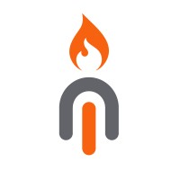Niche Ignite Logo
